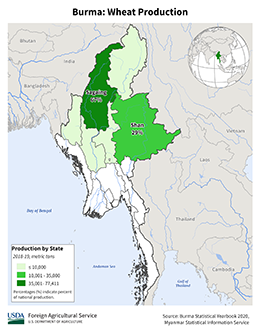 images\BM\cropprod\Burma_Wheat_preview.png
